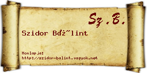 Szidor Bálint névjegykártya